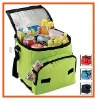 Bottle insulated cooler bag