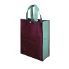 Bottle pp non woven bag(N600375)