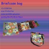 Breifcase Bag