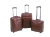 Business Luggage Case