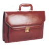 Business bag