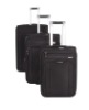 Business luggage(CT343)