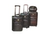 Business travel trolley luggage