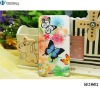 Butterfly Case for iPhone 4, Hard Case Back Cover Diamond Case for iPhone 4G, Retail Packing