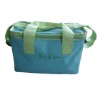 CB006 2011 HOT insulated cooler bag