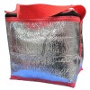 CT-CL025 aluminum foil cooler bag for outdoor