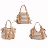 CTHB-111152 ladies newest fashion handbag 2011