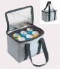 Can cooler bag