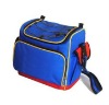 Can cooler bag