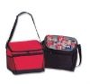 Can cooler bag