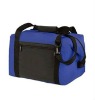 Can cooler bag