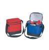 Can cooler bag