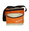 Can cooler bag