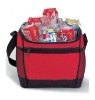 Can cooler bag