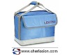 Can cooler bag