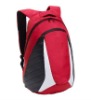 Canvas red backpack bag