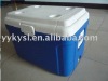 Car cooler box