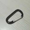 Carabiner