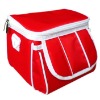 Carry Bag for NDSi