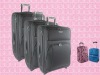 Carry-on EVA Aluminum Trolley Case