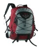 Casual and Sport hard laptop backpack