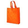 Cheap Non-woven bag Shopping bag XT-NW010605