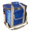 Cheap insulated cooler bag