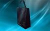 China 2012 new pp non woven eco friendly carry bag