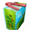 China High quality pp woven shopping bag