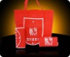 China  foldable bag(NW-1712)