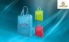 China pp non woven gift bag