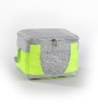 Classical cooler bag(2011)