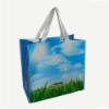 Clear Eco-friendly PP Woven Shopping Bag