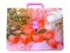 Clear PP Plastic Briefcase/portfolio