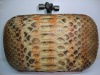 Clutch bag,evening bag,woman bag,handbag,brand bag,leather handbag,fashion clutch bag,new handbag,purse, brand bag,python bag,