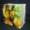 Coated PP Plastic Gift Bag