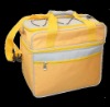 Collapsible Cooler Bag