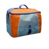 Colorful Cooler bag/Ice bag/Cool bag DT-B1252