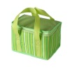 Colorful Cooler bag/Ice bag/Cool bag DT-B1255