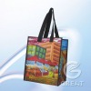 Colorful Durable Nonwoven Laminated Shopping Bag(glt-a0103)