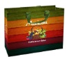 Colorful Laminated PE Woven Shopping Bag