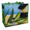 Colorful Laminated PP Woven Shopping Bag