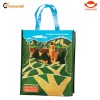 Colorful Laminated shopping RPET bag
