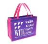 Colorful Non Woven Bag