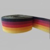 Colorful PP Webbing Band