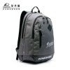 Colorful laptop backpack China famous brand-Kingsons