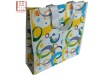 Colorful pp woven bag