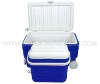 Combo cooler box