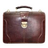 Cool designer Briefcase bag