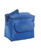 Cool insulated cooler bag/cooler box